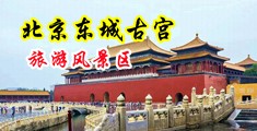 操大逼好爽视频中国北京-东城古宫旅游风景区